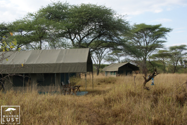 Kati Kati Mobiles Zeltcamp Serengeti, Tansania