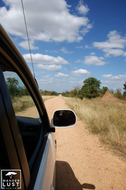 Mit dem Auto durch den Krüger Nationalpark Südafrika