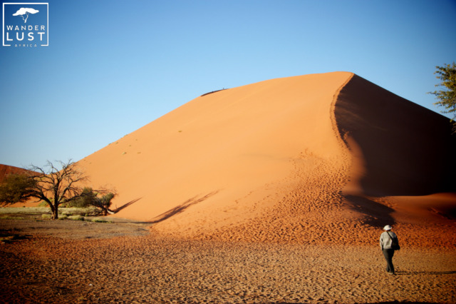 Erklimmen Sie die Dune 45 in Sossusvlei zum Sonnenaufgang