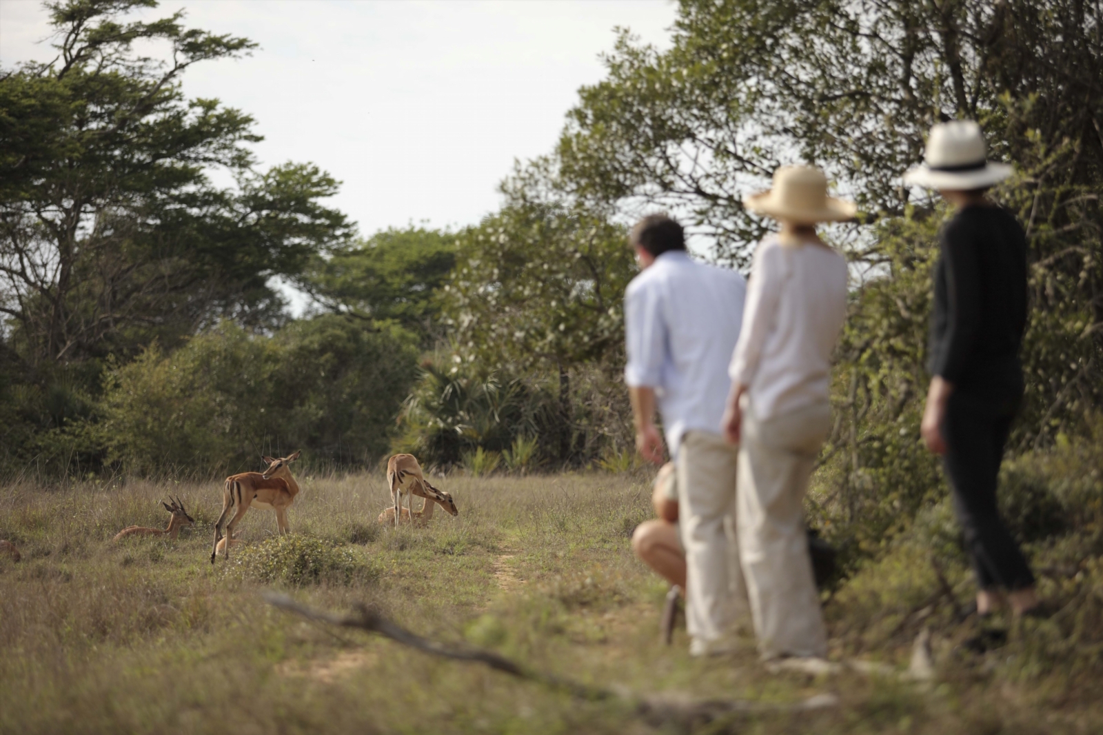 Buschwanderungen und Wander-Safari durch das Phinda Private Game Reserve, Südafrika