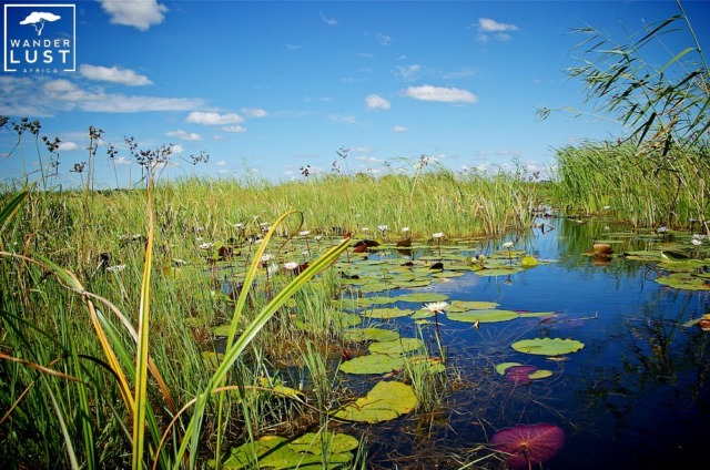 Okavango Delta Botswana