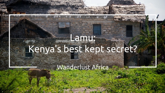 Lamu Island Kenya