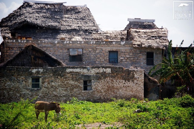 Takwa Ruins Lamu