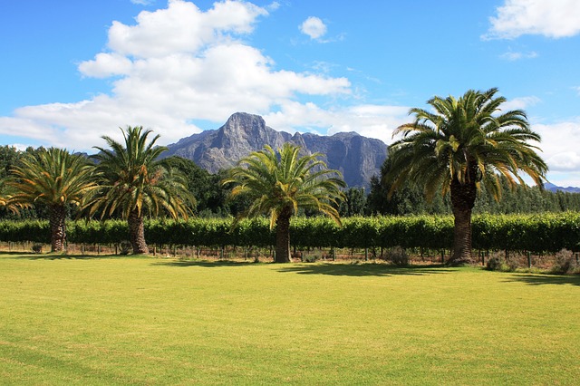 Winelands South Africa