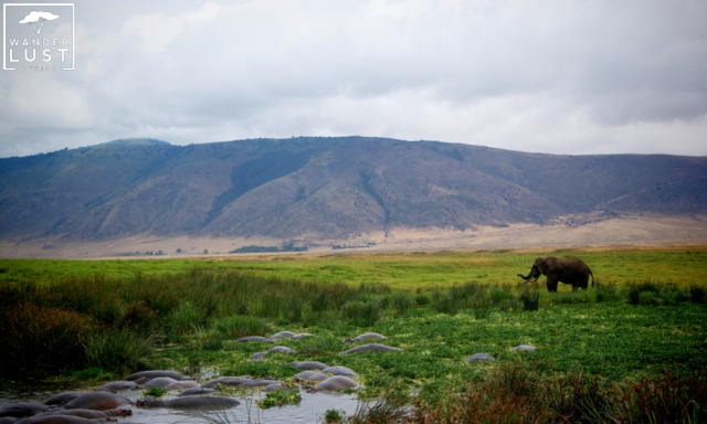 Weltkulturerben in Ostafrika: Der Ngorongoro Krater in Tansania