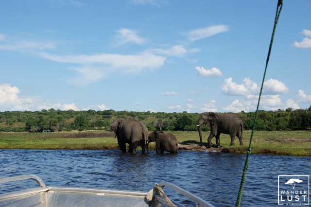 Boat safari in Botswana